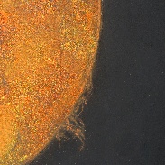 <font class="tempImageTitleThumbText">Hedgerow Prominence</font><br>Deirdre Kelleghan<br>May 14 10:57am<br>Bray, Co Wicklow, Ireland