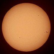 <font class="tempImageTitleThumbText">Shrimp Prom On SE Limb</font><br>Dr<br>Dec 10 10:09pm<br>Pensacola, Florida, USA