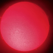 <font class="tempImageTitleThumbText">The Prom Cat Walk</font><br>Dr. J. Wayne Wooten<br>May 13 3:32pm<br>Pensacola, Florida