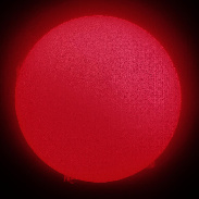 <font class="tempImageTitleThumbText">Witchs Broom Prominence</font><br>Dr. J. Wayne Wooten<br>Oct 26 2:35pm<br>Pensacola, Florida