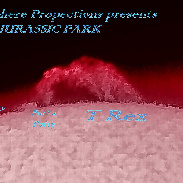 <font class="tempImageTitleThumbText">T Rex Prom</font><br>Dr. J. Wayne Wooten<br>Jun 1 8:45pm<br>Pensacola, Florida