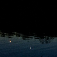 <font class="tempImageTitleThumbText">Moon Venus Mercury Conjunction</font><br>Dwight L Dulsky<br>Mar 19 1:50am<br>Nockamixon State Park Quakertow