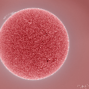 <font class="tempImageTitleThumbText">Giant Solar Prominence</font><br>Eduardo Schaberger Poupeau<br>Sep 11 10:19pm<br>Rafaela, Santa Fe, Argentina