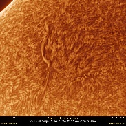 <font class="tempImageTitleThumbText">Sun, Filament,Proms</font><br>Efrain Morales Rivera<br>Feb 17 3:06am<br>Aguadilla, Puerto Rico