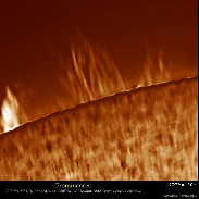 <font class="tempImageTitleThumbText">Sun Prominences</font><br>Efrain Morales Rivera<br>Sep 9 3:47pm<br>Aguadilla, Puerto Rico