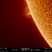 <font class="tempImageTitleThumbText"> Sun Prominences</font><br>Efrain Morales Rivera<br>Oct 16 6:21pm<br>Aguadilla, Puerto Rico