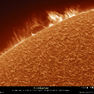 <font class="tempImageTitleThumbText">Sun Prominences, New Sunspot</font><br>Efrain Morales Rivera<br>Mar 8 5:30pm<br>Aguadilla, Puerto Rico