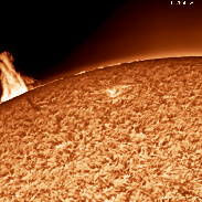 <font class="tempImageTitleThumbText">Prominence, Sunspot</font><br>Efrain Morales Rivera<br>Feb 9 8:39pm<br>Aguadilla, Puerto Rico