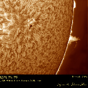 <font class="tempImageTitleThumbText">Sunspots AR4294, 96, 98, Prominences</font><br>Efrain Morales<br>Dec 7 11:53pm<br>Aguadilla, Puerto Rico