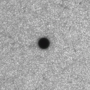 <font class="tempImageTitleThumbText">Mercury Transit, Close-up Animation</font><br>Emil Kraaikamp<br>May 9 9:13pm<br>Ruinerwold, The Netherlands