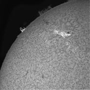 <font class="tempImageTitleThumbText">Prominence Loop</font><br>Enrico Africa<br>Feb 20 12:54am<br>West Chester, Ohio