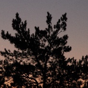 <font class="tempImageTitleThumbText">Venus-Jupiter Conjunction</font><br>Filipp Romanov<br>Nov 13 1:20pm<br>Moscow Region, Russia