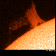 <font class="tempImageTitleThumbText">Solar Prominence </font><br>Francisco A. Rodriguez<br>Feb 7 4:50pm<br>Centro Astronómico Roque Sauci