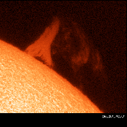 <font class="tempImageTitleThumbText">Solar Prominence </font><br>Francisco A. Rodriguez<br>Feb 7 5:46pm<br>Centro Astronómico Roque Sauci