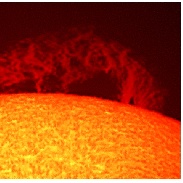 <font class="tempImageTitleThumbText">Solar Prominence</font><br>Frank A. Rodriguez<br>Mar 27 7:31pm<br>Centro Astronomico Roque Saucil