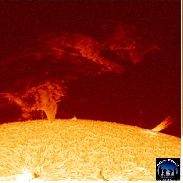 <font class="tempImageTitleThumbText">Solar Prominence</font><br>Frank A. Rodriguez<br>Sep 30 5:29pm<br>Centro Astronomico Roque Saucil