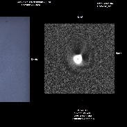 <font class="tempImageTitleThumbText">Comet C/2023 A3 - Tsuchinshan-ATLAS</font><br>Frank J Melillo<br>Oct 26 2:37pm<br>Holtsville, NY