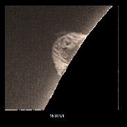 <font class="tempImageTitleThumbText">A Nice Size Arch Prominence</font><br>Frank J Melillo<br>Aug 27 3:01am<br>Holtsville, NY