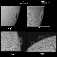 <font class="tempImageTitleThumbText">AR #14079 And The Prominences</font><br>Frank J Melillo<br>May 11 3:06am<br>Holtsville, NY