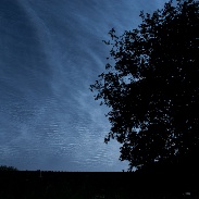 <font class="tempImageTitleThumbText">Solstice NLCs</font><br>Frank Talens<br>Jun 24 7:24pm<br>Gorredijk, The Netherlands