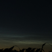 <font class="tempImageTitleThumbText">NLCs</font><br>Freddy Nauta<br>Jul 2 5:57pm<br>Kranenburg, Vorden, Netherlands