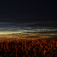 <font class="tempImageTitleThumbText">NLC</font><br>fabrizio marchi<br>Jul 5 9:48pm<br>Treviso, North Italy