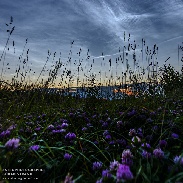 <font class="tempImageTitleThumbText">Flowered Noctilucent Clouds</font><br>Göran Strand<br>Jul 28 12:32am<br>Östersund, Sweden