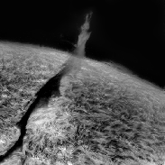 <font class="tempImageTitleThumbText">A Filaprom On Sun.</font><br>Gabriel Corban<br>Feb 13 6:48pm<br>Bucharest
Romania