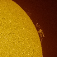 <font class="tempImageTitleThumbText">Solar Prominences</font><br>George Ionas<br>Jan 29 8:35am<br>Palmerston North, New Zealand