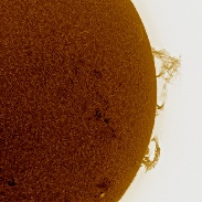 <font class="tempImageTitleThumbText">Solar Prominences</font><br>George Ionas<br>Apr 1 8:13am<br>Palmerston North, New Zealand