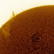 <font class="tempImageTitleThumbText">Giant Filaprom</font><br>George Ionas<br>Apr 26 11:00am<br>Palmerston North, NEW ZEALAND