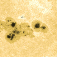 <font class="tempImageTitleThumbText">Solar Prominences In Ha & AR3014</font><br>Gerard Cauchi<br>May 23 2:58am<br>Mt Barker, South Australia