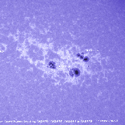 <font class="tempImageTitleThumbText">Sunspots And Prominences</font><br>Gerard Cauchi<br>Apr 25 12:43pm<br>Mt Barker, South Australia