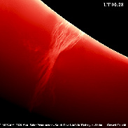 <font class="tempImageTitleThumbText">Solar Prominences In Ha</font><br>Gerard Cauchi<br>Aug 29 2:11am<br>Mt Barker, South Australia