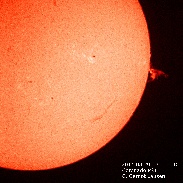 <font class="tempImageTitleThumbText">Sun In H-Alpha With An Eruptive Prominenc</font><br>Gernot Lausen<br>Aug 29 5:58pm<br>Fleckeby Schleswig Holstein, Ge