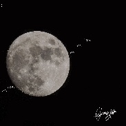 <font class="tempImageTitleThumbText">Aldebaran Occultation</font><br>Giorgia Hofer<br>Dec 24 7:28pm<br>Laggio di Cadore