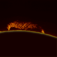 <font class="tempImageTitleThumbText">Big Hedgerow Prominence</font><br>Giorgio Rizzarelli<br>Oct 23 9:21pm<br>Trieste, Italy