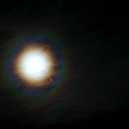 <font class="tempImageTitleThumbText">Wolf Moon  And Jupiter</font><br>Giuseppe Pappa<br>Jan 3 8:41pm<br>Pedara,Sicily,Italy