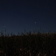 <font class="tempImageTitleThumbText">Comet Tsuchinshan-Atlas</font><br>Glenn Burke<br>Oct 16 12:29am<br>Hope N.J.  In the front cornfie