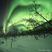 <font class="tempImageTitleThumbText">Curly Q Aurora‘s Lighting Up The Snowmo</font><br>Gregory Ash<br>Feb 8 12:09am<br>Kilpisjarvi, Finland