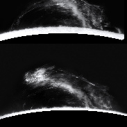 <font class="tempImageTitleThumbText">Prominence</font><br>Harald Paleske<br>May 23 12:22pm<br>Weißenfels, Sachsen Anhalt, Ge