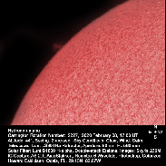 <font class="tempImageTitleThumbText">Solar Prominences</font><br>Howard Eskildsen<br>Feb 9 3:10am<br>Ocala, Florida, USA
