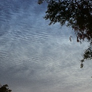 <font class="tempImageTitleThumbText">Noctilucent Clouds</font><br>Huub Eggen<br>Jun 22 6:12pm<br>Deventer, The Netherlands