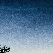 <font class="tempImageTitleThumbText">NLCS</font><br>Ian Carstairs<br>Jul 2 7:34am<br>Harleston, Norfolk, UK