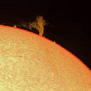 <font class="tempImageTitleThumbText">Solar Prominences</font><br>Ismael Rodriguez<br>Apr 25 3:23pm<br>Colorado City, CO, USA