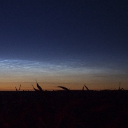 <font class="tempImageTitleThumbText">NLC</font><br>Jacek Drążkowski<br>Jun 9 7:59pm<br>Lidzbark Warmiński, Poland