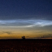 <font class="tempImageTitleThumbText">NLC</font><br>Jacek Drążkowski<br>Jun 3 6:09pm<br>Lidzbark Warmiński, Poland