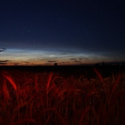 <font class="tempImageTitleThumbText">NLC</font><br>Jacek Drążkowski<br>Jul 17 10:06pm<br>Lidzbark Warmiński, Poland