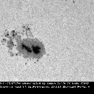<font class="tempImageTitleThumbText">Sunspot And Prominence</font><br>James Kevin Ty<br>May 5 5:05am<br>Manila , Philippines