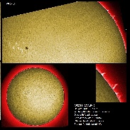 <font class="tempImageTitleThumbText">AR2738 And Prominences</font><br>James Roger Samworth<br>Apr 12 11:48am<br>Nailstone, Nuneaton, UK